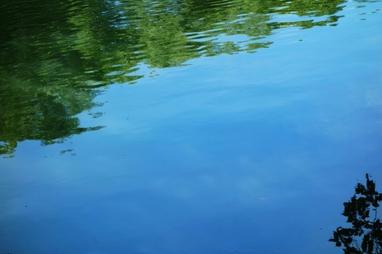 水波紋