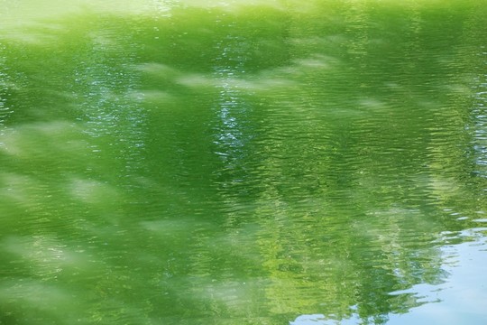 水波紋