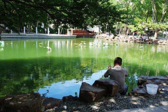 公園里釣魚