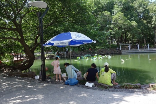 公園里釣魚