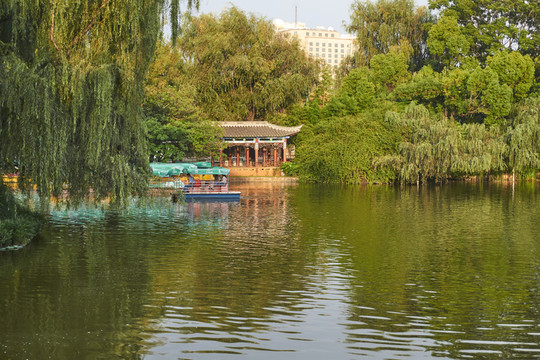 翠湖公園一角