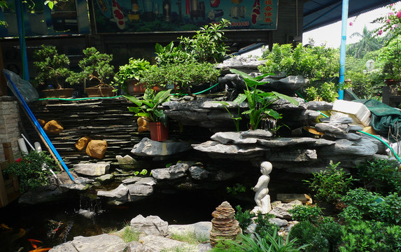 金魚池
