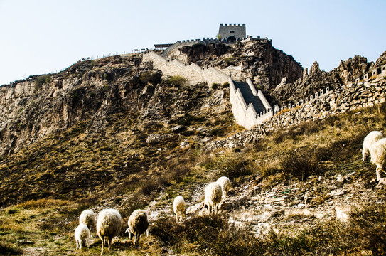 山羊長城