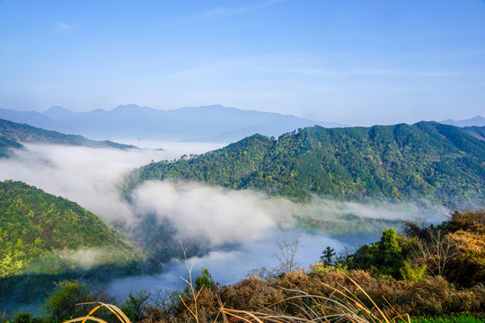 高山流云