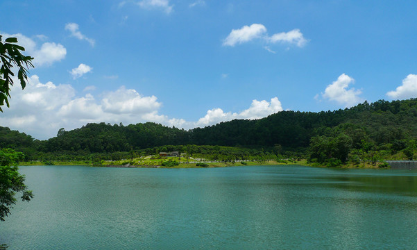 大夫山