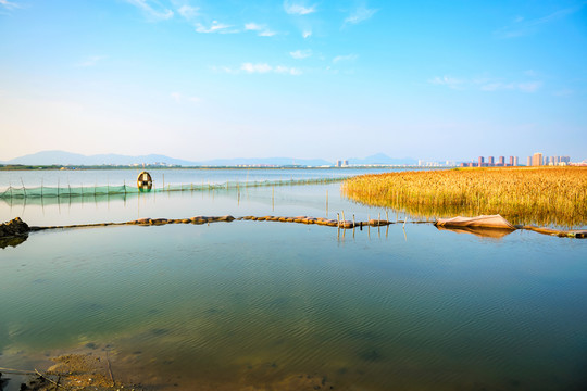 潮汐湖