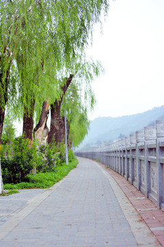 公園小路