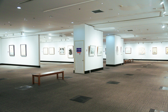 畫展