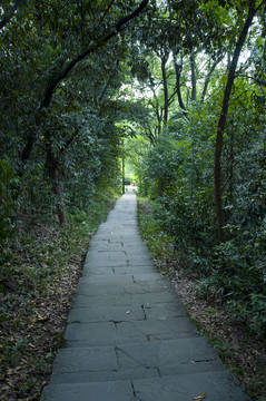 林間小道