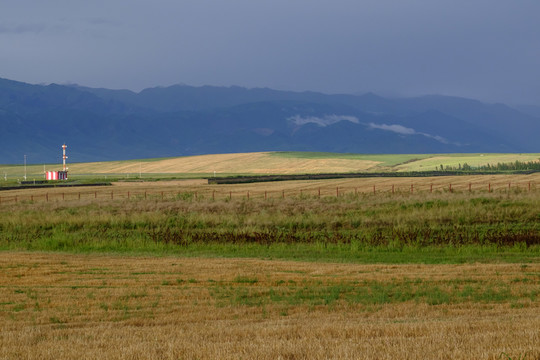 田野