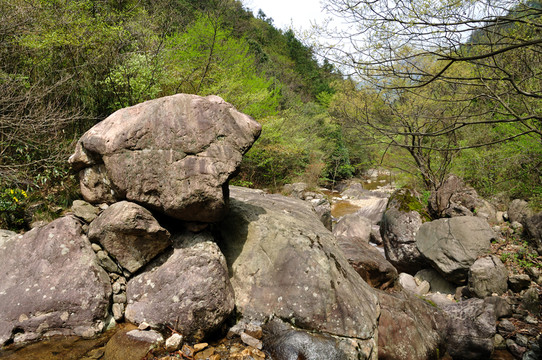 安吉龍王山風(fēng)光