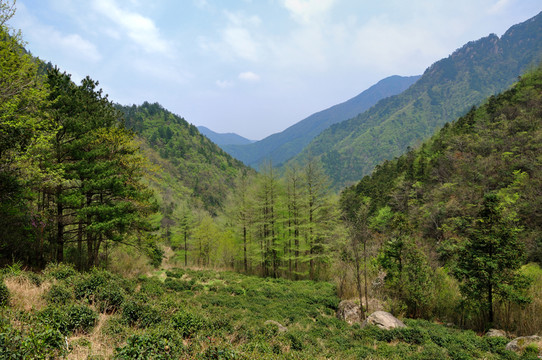 安吉龍王山風(fēng)光