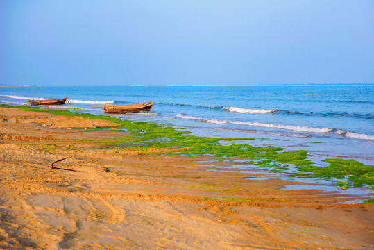 海灘 漁船 滸苔