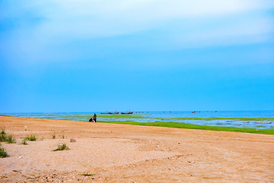 海灘 漁船 滸苔