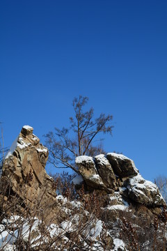 布蘇里