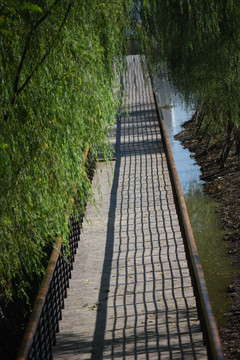 路