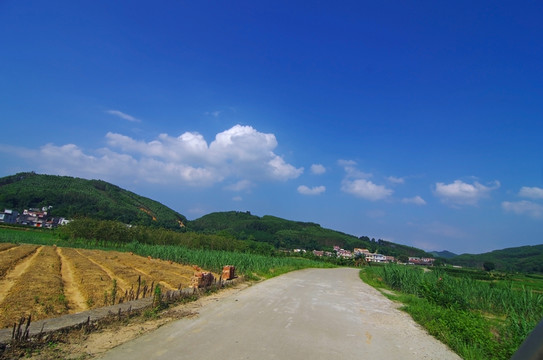 鄉(xiāng)村 道路