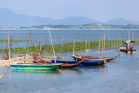 惠東鹽洲島