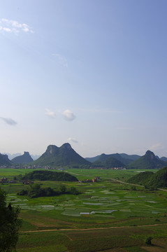 耕地