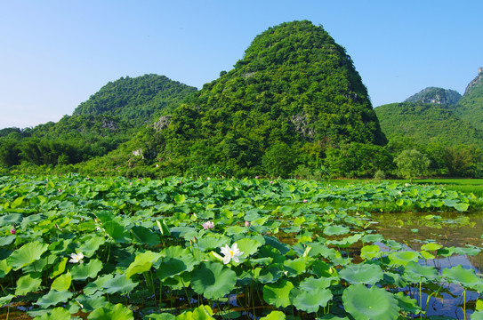 風(fēng)景