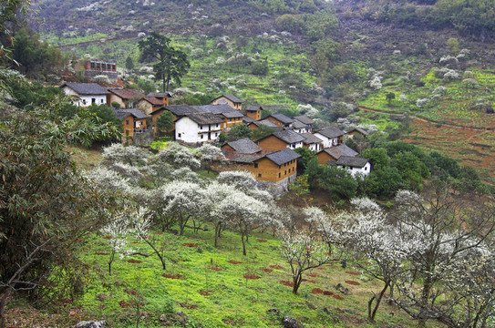 鄉(xiāng)村 風(fēng)景