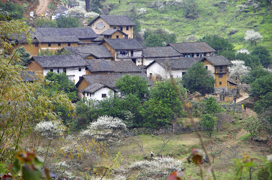 鄉(xiāng)村 風(fēng)景