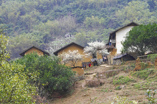 鄉(xiāng)村
