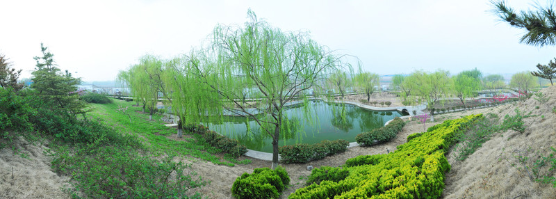 公園風(fēng)景