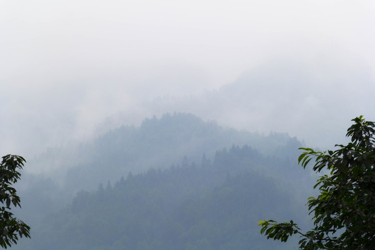 柳江古鎮(zhèn)