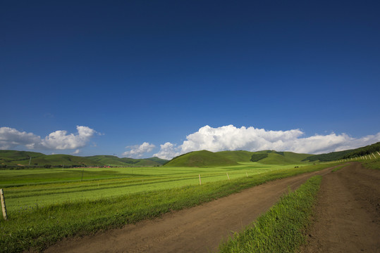 草原土路