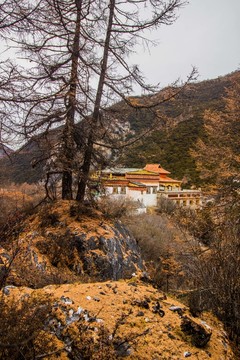 亞丁沖古寺
