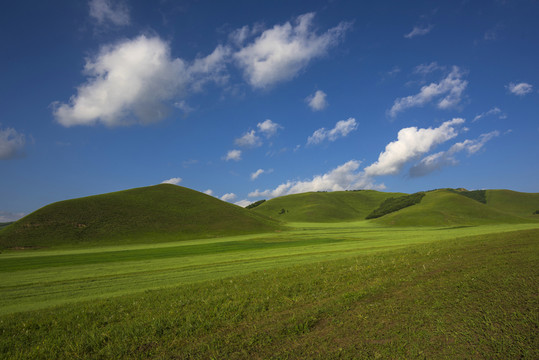 草原遠(yuǎn)景
