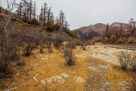 亞丁仙乃日神山