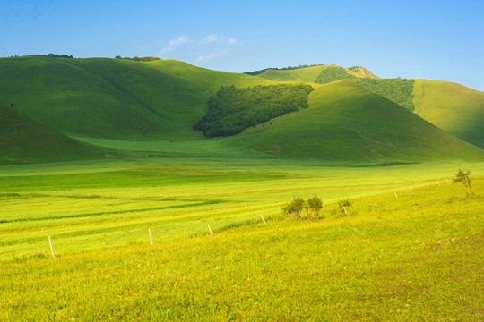 草原遠(yuǎn)山