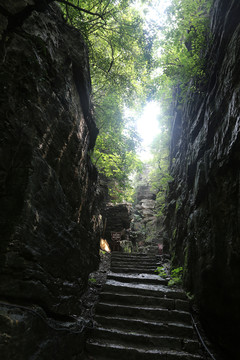 山間道路