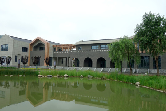 濕地公園 湖