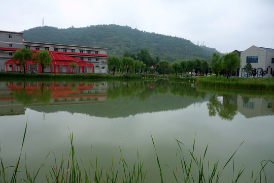 濕地公園