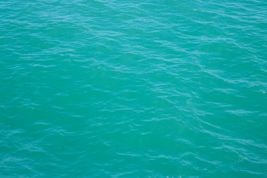 海皮膚