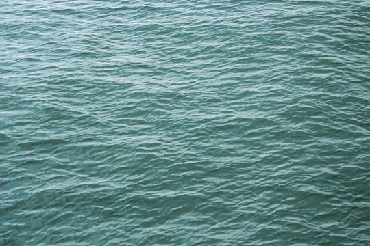 海水素材