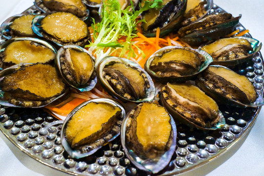 鮑魚(yú)