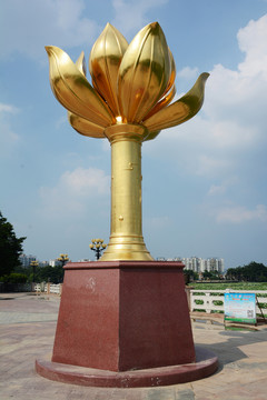 荷花