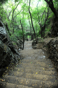 林間小路