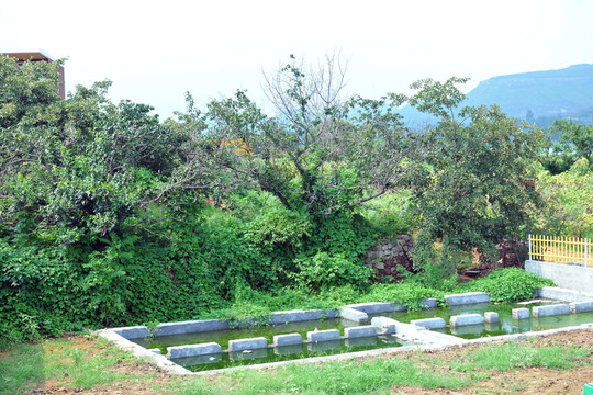 公園風(fēng)景