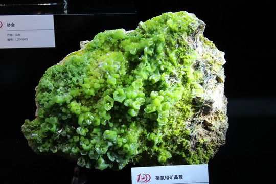 磷氯鉛礦晶簇