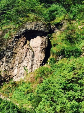 山