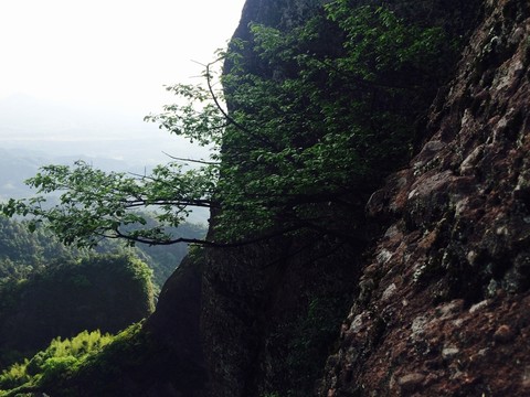 高山懸崖