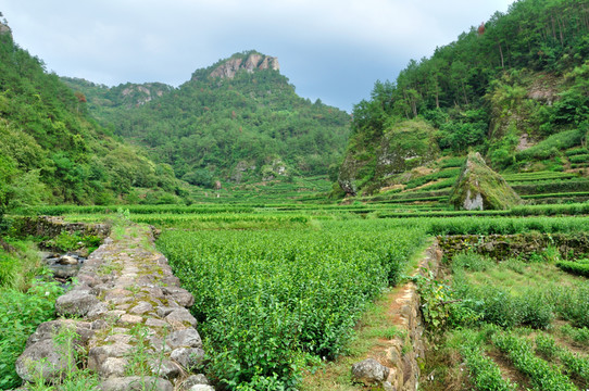 新昌穿巖十九峰自然風(fēng)光