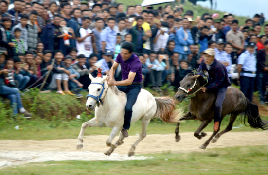 賽馬 火把節(jié)