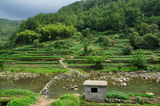 新昌穿巖十九峰自然風(fēng)光