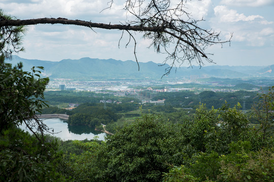 桐廬大奇山